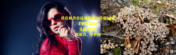spice Зеленодольск
