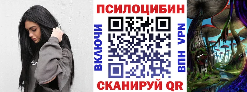 хочу наркоту  Славск  Галлюциногенные грибы Psilocybine cubensis 